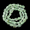 Natural Prehnite Beads Strands G-G018-64-5