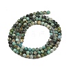 Natural African Turquoise(Jasper) Beads Strands X-G-P472-01-5