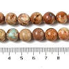 Dyed Natural Regalite/Imperial Jasper/Sea Sediment Jasper Beads Strands G-B124-C03-11-3