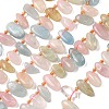 Natural Morganite Beads Strands G-P604-A07-01-2