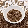 MIYUKI Delica Beads SEED-X0054-DB2524-2