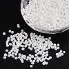 8/0 Opaque Colours Round Glass Seed Beads X-SEED-A010-3mm-41-1