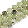 Natural Prehnite Beads Strands G-T131-78B-1