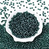 Transparent Glass Seed Beads SEED-N007-33A-09-2
