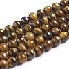 Natural Tiger Eye Beads Strands Z0RQX014-1