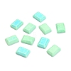 Natural Howlite Cabochons G-H261-01-1