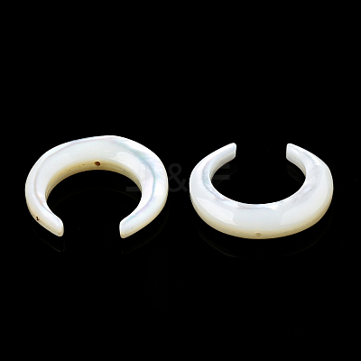 Natural White Shell Beads SSHEL-N034-122A-03-1