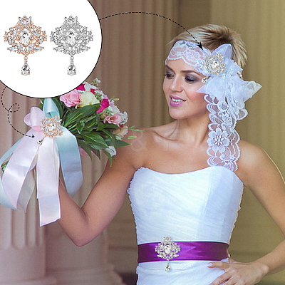 4Pcs 2 Colors Alloy Crystal Rhinestone Brooches for Clothes Backpack JEWB-GA0001-39-1