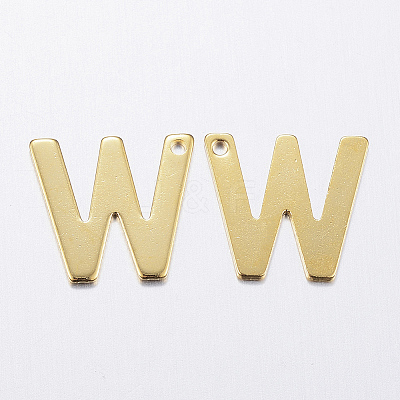304 Stainless Steel Charms LS-X-STAS-P141-W-1