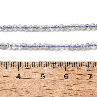 Natural Labradorite Beads Strands G-RM241221-A10-1