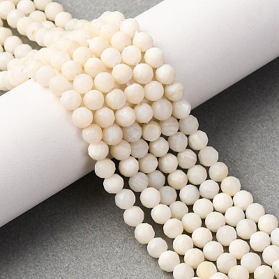 Shell Beads Strands SSHEL-E571-38-4mm-01-1