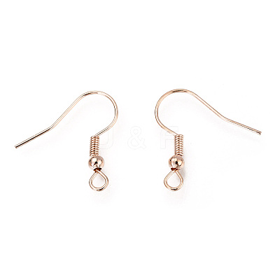 Iron Earring Hooks LS-X-IFIN-EC135-RG-1