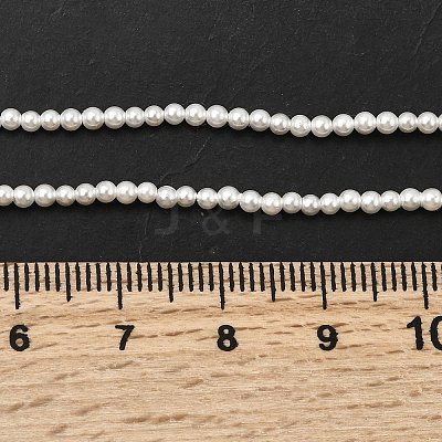 Electroplated Shell Pearl Beads Strands BSHE-K017-2mm-1