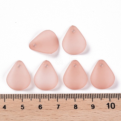 Transparent Frosted Acrylic Pendants MACR-S371-09A-763-1