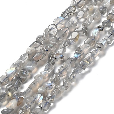 Natural Labradorite Beads Strands G-P497-01A-03-1