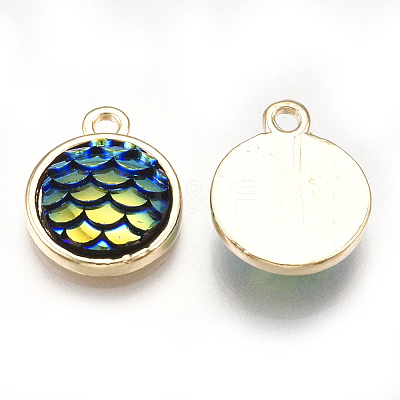 Alloy Resin Charms PALLOY-T056-24A-1
