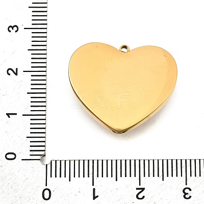 304 Stainless Steel Pendants STAS-M123-03I-PG02-1