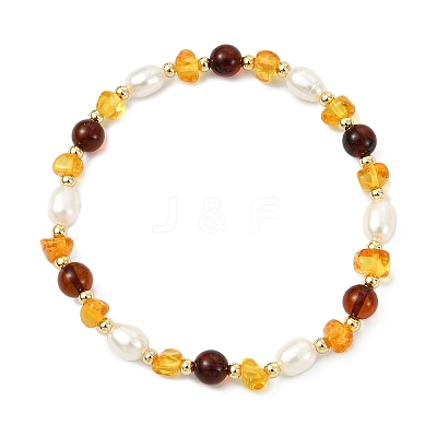 Natural Amber & Cultured Freshwater Pearl Beaded Stretch Bracelets for Women BJEW-JB13699-02-1