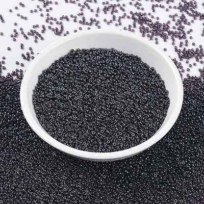 MIYUKI Round Rocailles Beads X-SEED-G009-RR0171-1