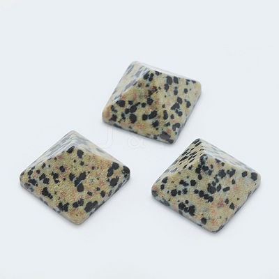 Natural Dalmatian Jasper Cabochons G-G759-Y07-1