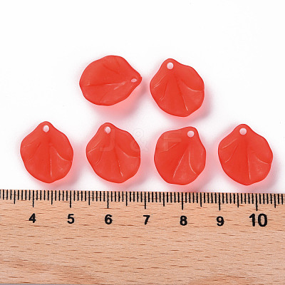 Transparent Frosted Acrylic Pendants MACR-S371-02A-712-1
