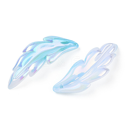 Transparent Acrylic Pendants TACR-TAC0005-03B-1