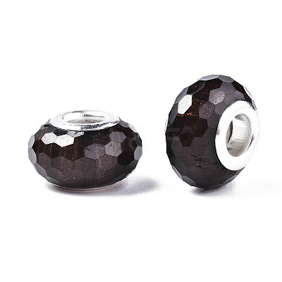 Resin European Beads LS-RPDL-S009-06-1
