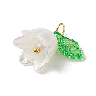 20Pcs Opaque Acrylic Pendants PALLOY-JF02870-1