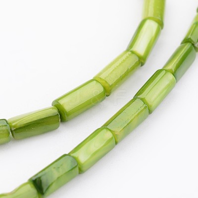 Natural Shell Bead Strands BSHE-P016-16-1