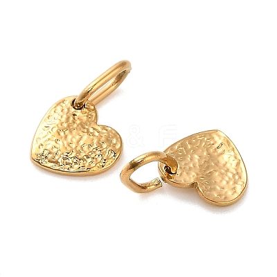 304 Stainless Steel Charms X-STAS-R151-06G-1