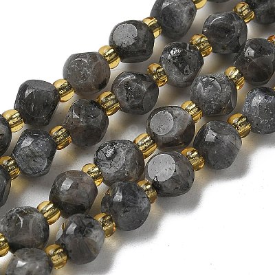 Natural Larvikite Beads Strands G-K387-A02-01-1