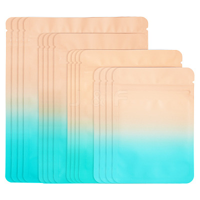 100Pcs 4 Styles PET Zipper Bags OPP-TA0001-19A-1