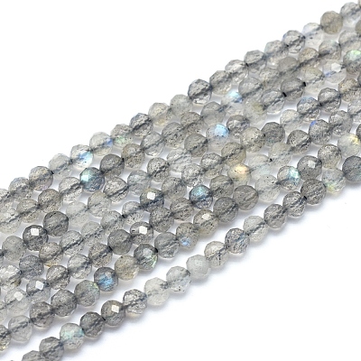 Natural Labradorite Beads Strands G-D0003-E86-4MM-1