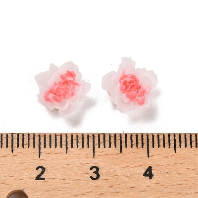 Luminous Resin Decoden Cabochons RESI-K036-06D-1