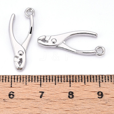 Alloy Pendants X1-PALLOY-N176-120P-1