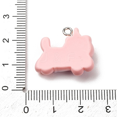 Opaque Resin Pendants RE-CBA5B90-04E-1