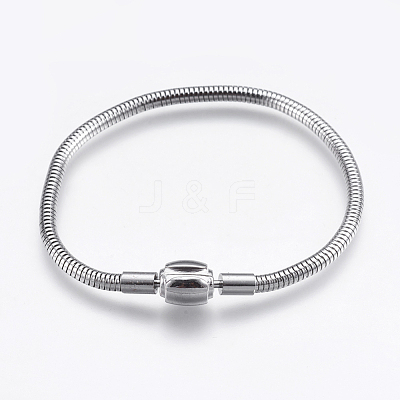 Tarnish Resistant 304 Stainless Steel European Style Chains Bracelet Making STAS-E428-12C-P-1