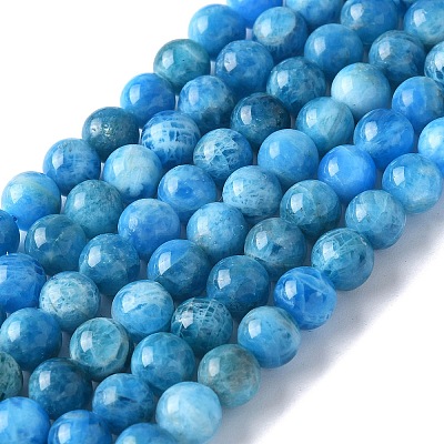 Natural Apatite Beads Strands G-I254-08H-1