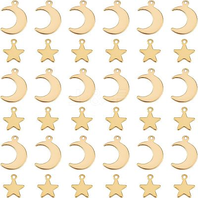 304 Stainless Steel Charms & Pendants STAS-UN0016-59G-1