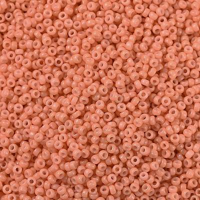 MIYUKI Round Rocailles Beads X-SEED-G009-RR4462-1
