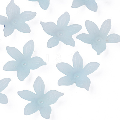 Transparent Acrylic Beads MACR-S373-127-D02-1