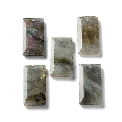 Natural Labradorite Pendants G-G063-01I-1