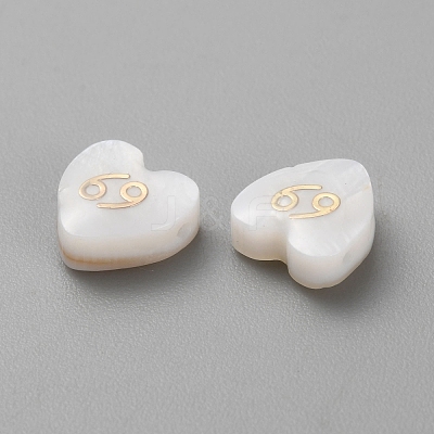 5Pcs Natural White Shell Beads BSHE-TAC0004-02F-1