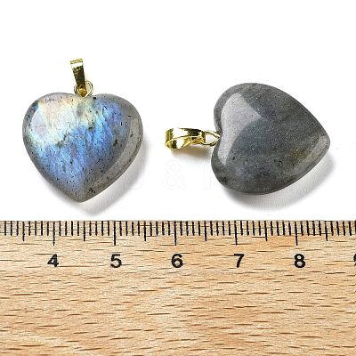 Natural Labradorite Pendants G-G956-B24-G-1
