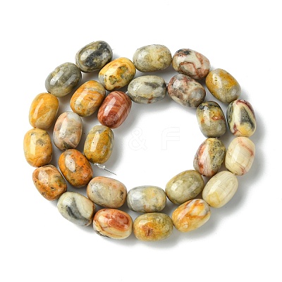 Barrel Shaped Gemstone Natural Crazy Lace Agate Beads Strands X-G-S114-08-1