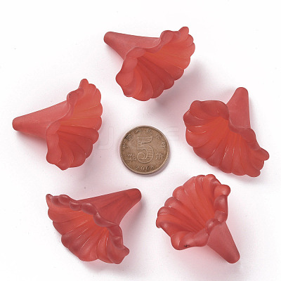 Transparent Acrylic Beads X-BSF796-C12-1