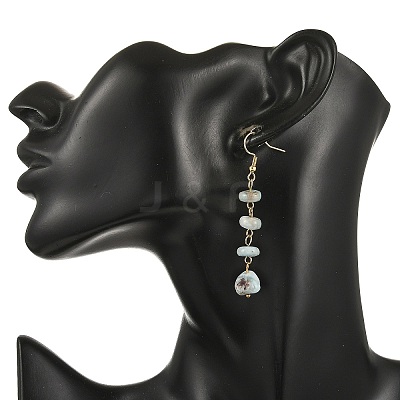 Natural Larimar Dangle Earrings EJEW-JE07529-1