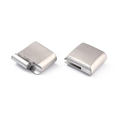 Tarnish Resistant 304 Stainless Steel Magnetic Clasps with Glue-in Ends STAS-F276-02P-1
