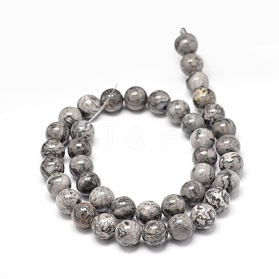 Natural Map Stone Beads Strands G-P075-15-6mm-1