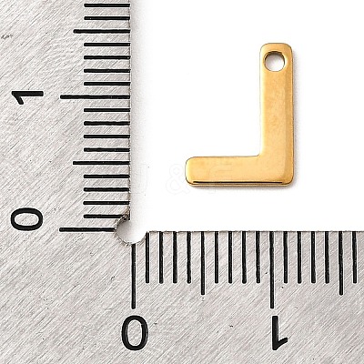 304 Stainless Steel Charms STAS-B093-12G-L-1
